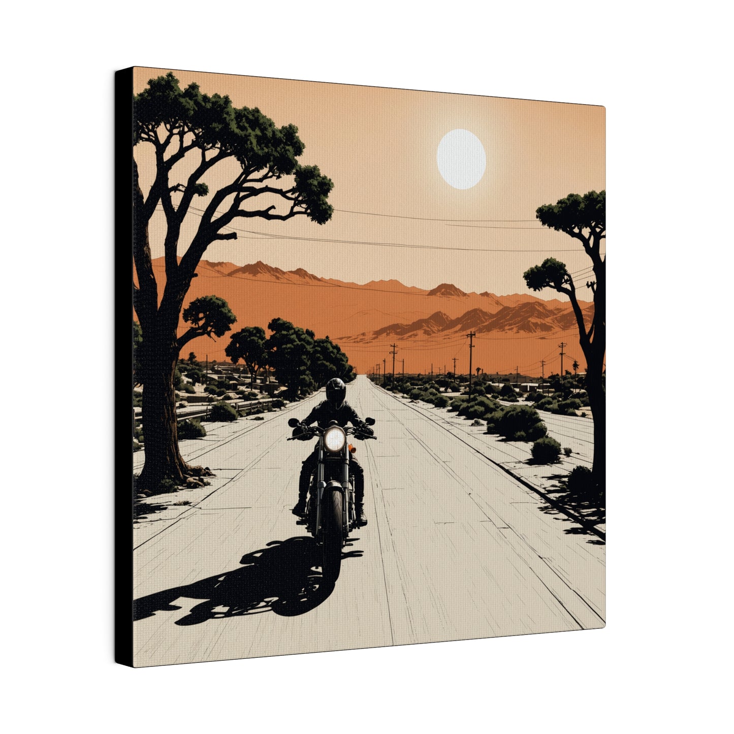 Desert Rider Canvas Print