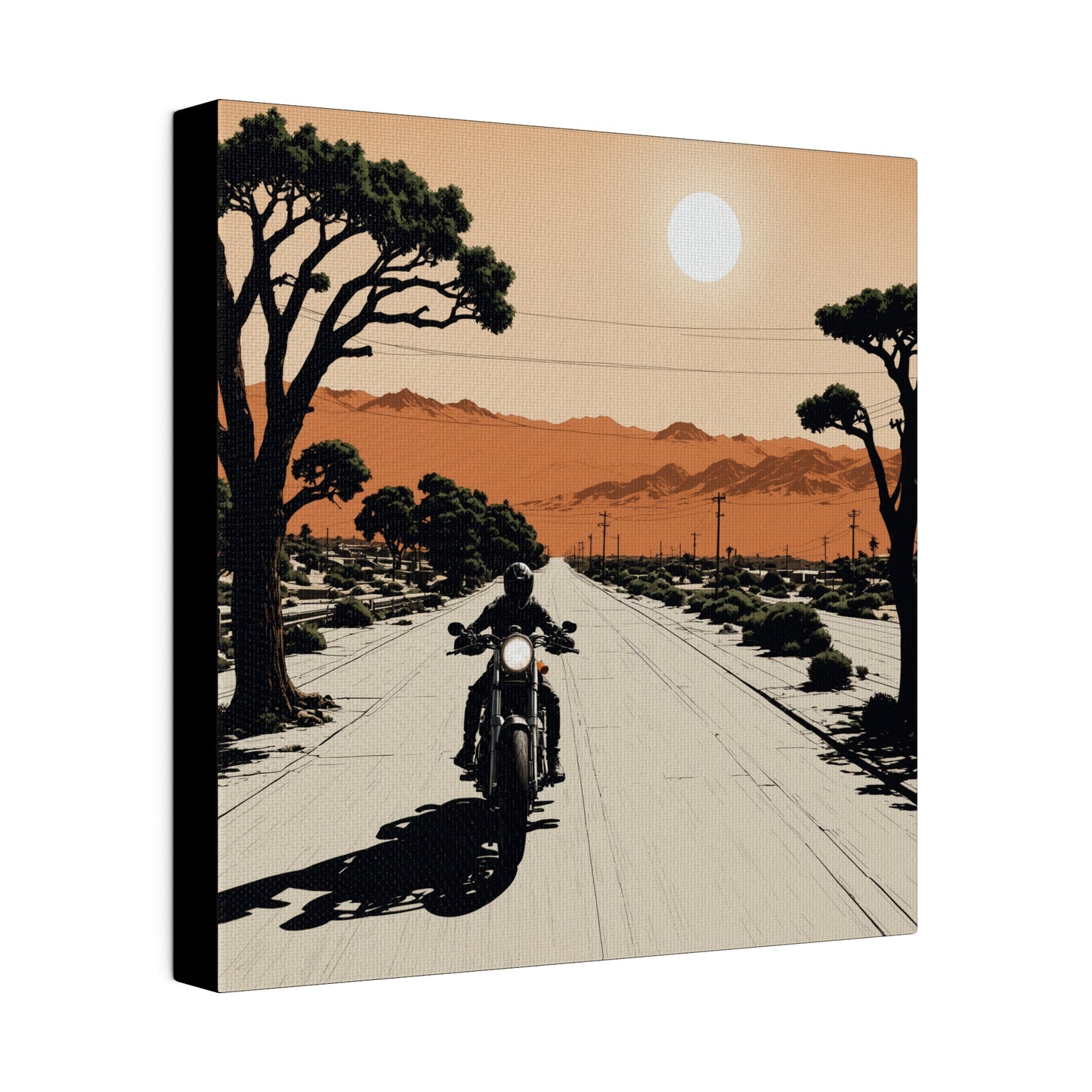 Desert Rider Canvas Print