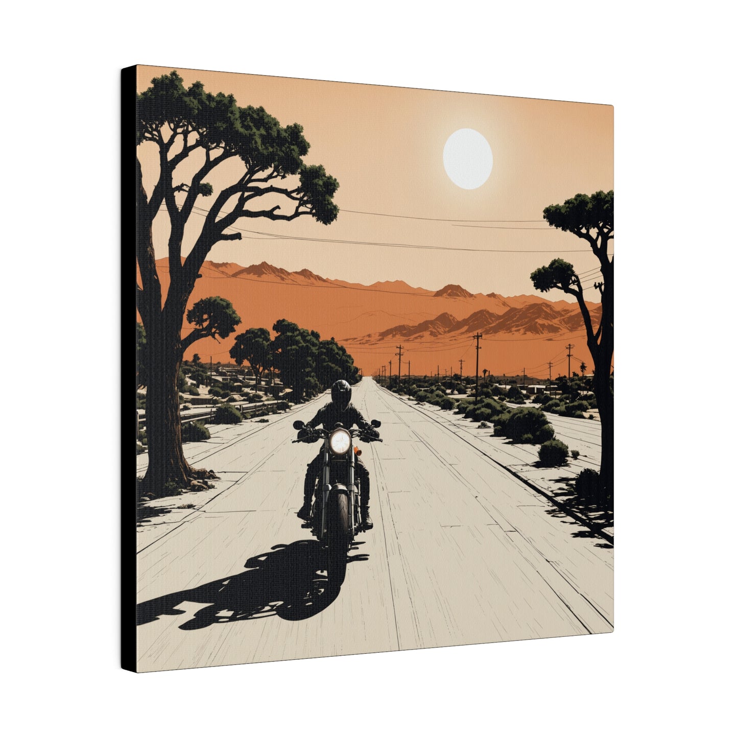 Desert Rider Canvas Print